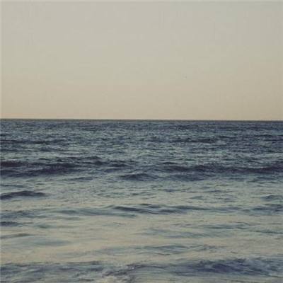 BSport·APP在线登录app下载