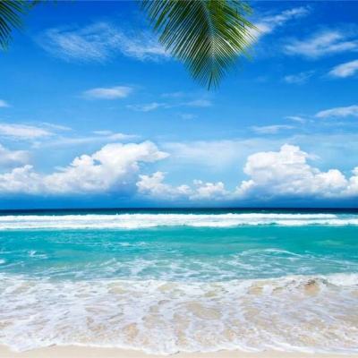 南宫ng28官方网站最新版