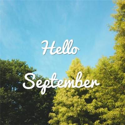 万博max体育官网手机版