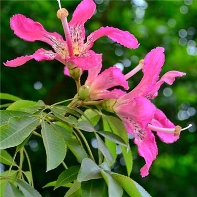 江南娱乐体育官网入口