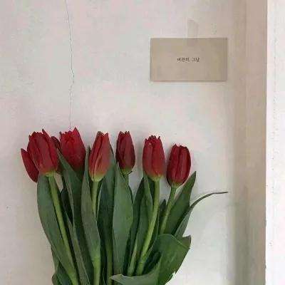 万博全站(ManBetX)手机app下载