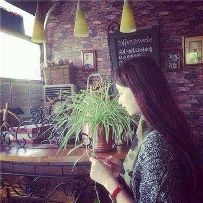 42982金牛网论坛下载手机版